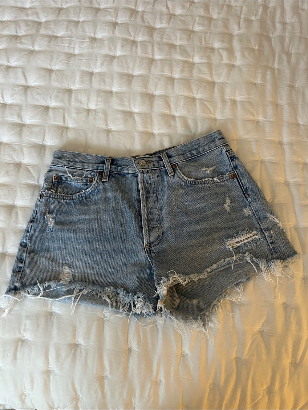 Agolde Parker Short